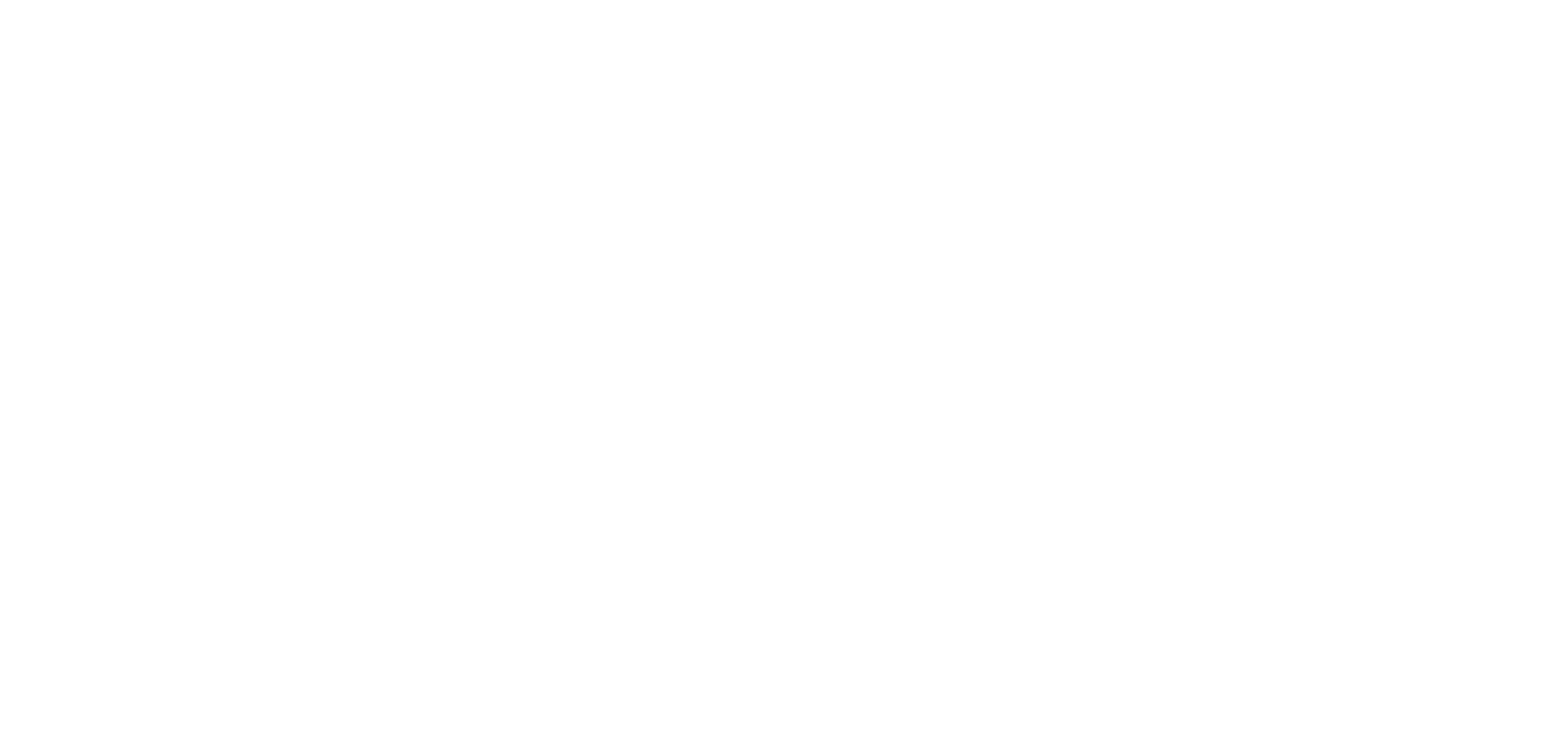 Vantage Logo White