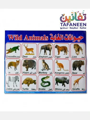 Educational Sheet – 50×70cm Board