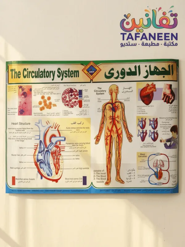فرخ لوحه تعليميه 50 × 70 سم
