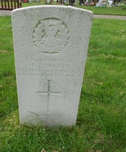 Francis Edward Boland