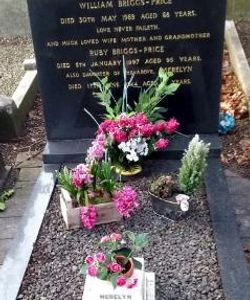 Merelyn Briggs Price