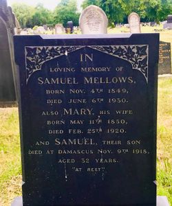 Samuel Mellows