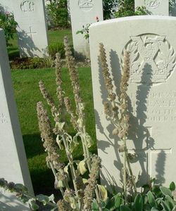 Frederick Charles Pheasey