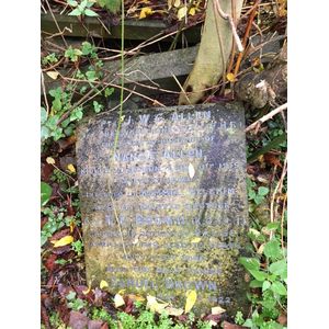 Photo of James William George Allen