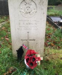 Robert Albert Robson