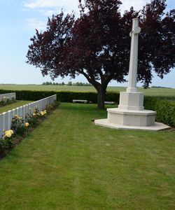 John Alfred Williams