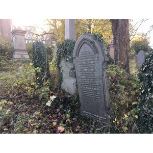 Photo of Harold Easom