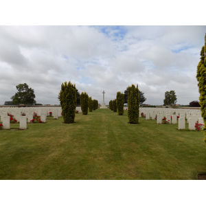 Photo of Anthony Solari