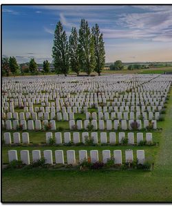 Harry Newman McKears