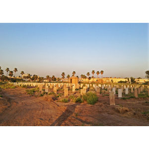 Photo of Thomas Fitzharding Miller