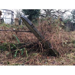 Photo of Herbert Coulby