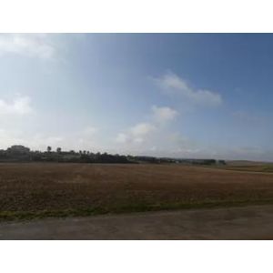 No Man's Land from Ovillers