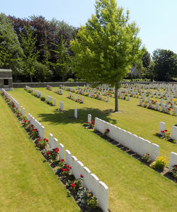 Thomas Harold Kimpton