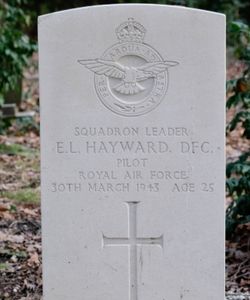 Eric Lewis Hayward