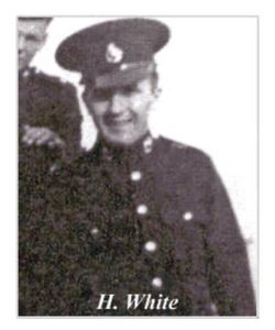 Harry White