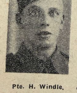 Harry Windle