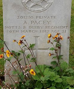 Arthur Pacey