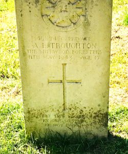 Albert Ernest Troughton