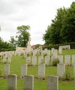 George Edwards