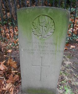 John Tring