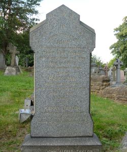 Harry Taylor