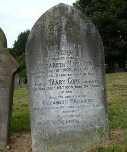 George Samuel Wildgust