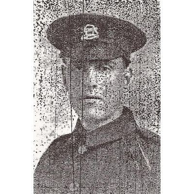 Harry Buxton