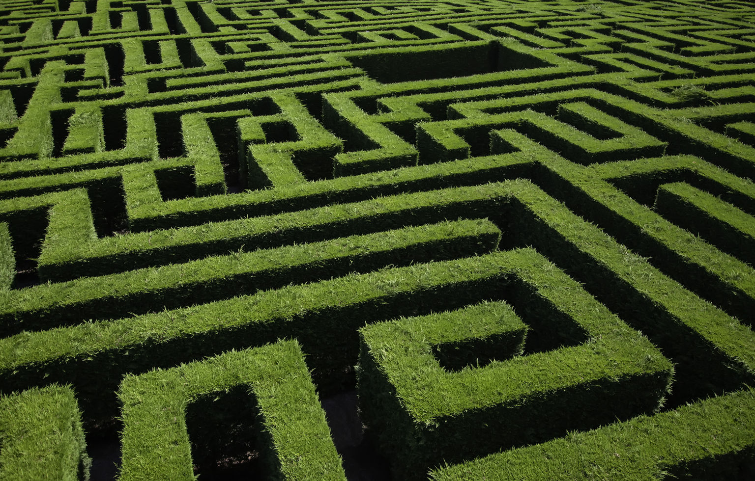 Hedge Maze