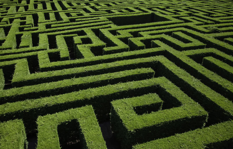 Hedge Maze