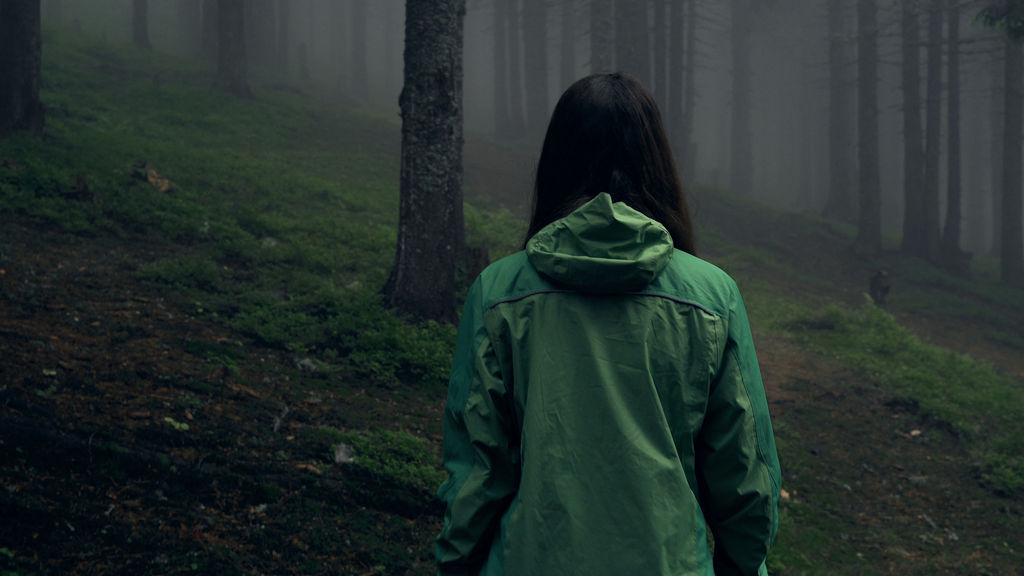 lost in the woods