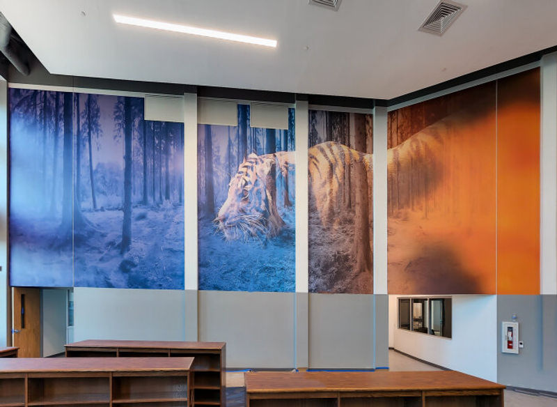 MCHS Amplify Mystical Wallcovering