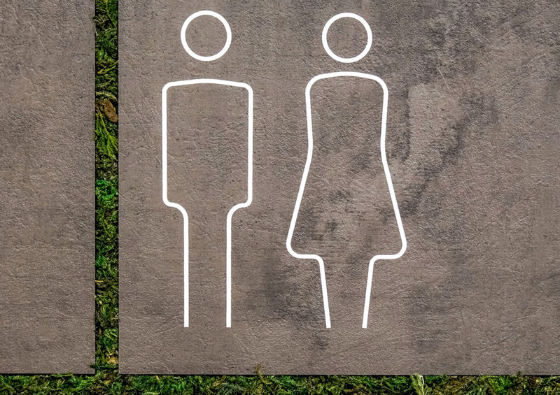 Detailed photo of minimalist pictographs on a restroom sign constructed with stone laminate and green moss inlays.