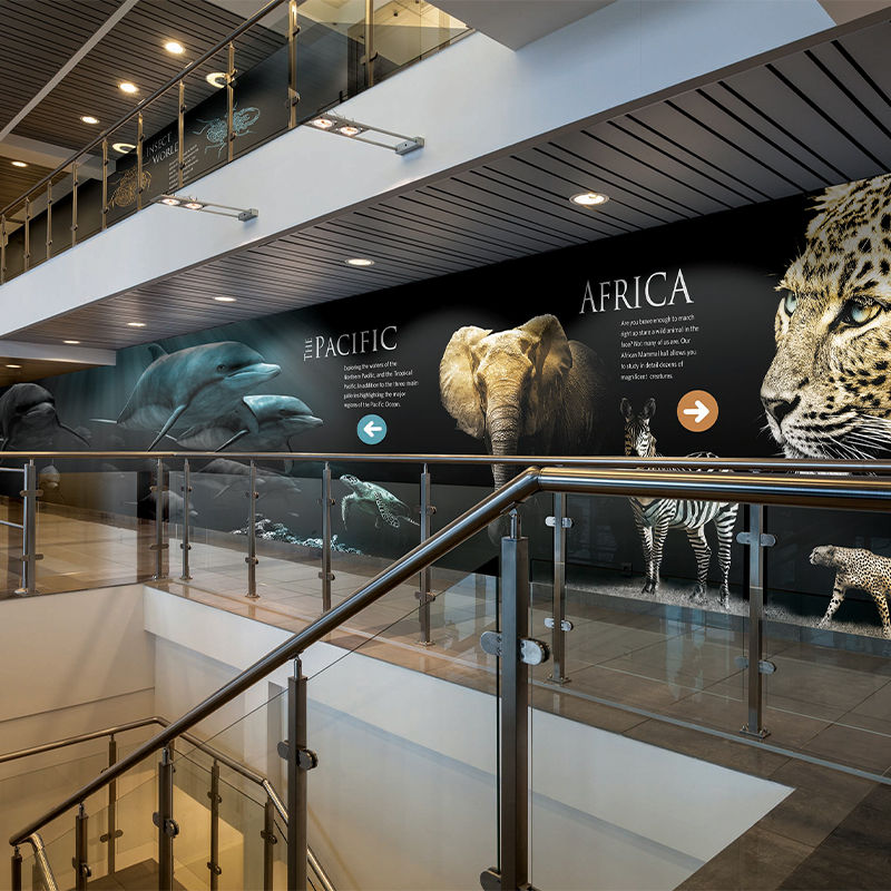 Multilevel natural history museum with custom wall covering installations of wild animals from around the world.
