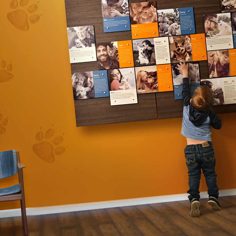A young boy reaches up to touch a custom-designed updatable pet shelter recognition display featuring adopted dogs and their new owners.