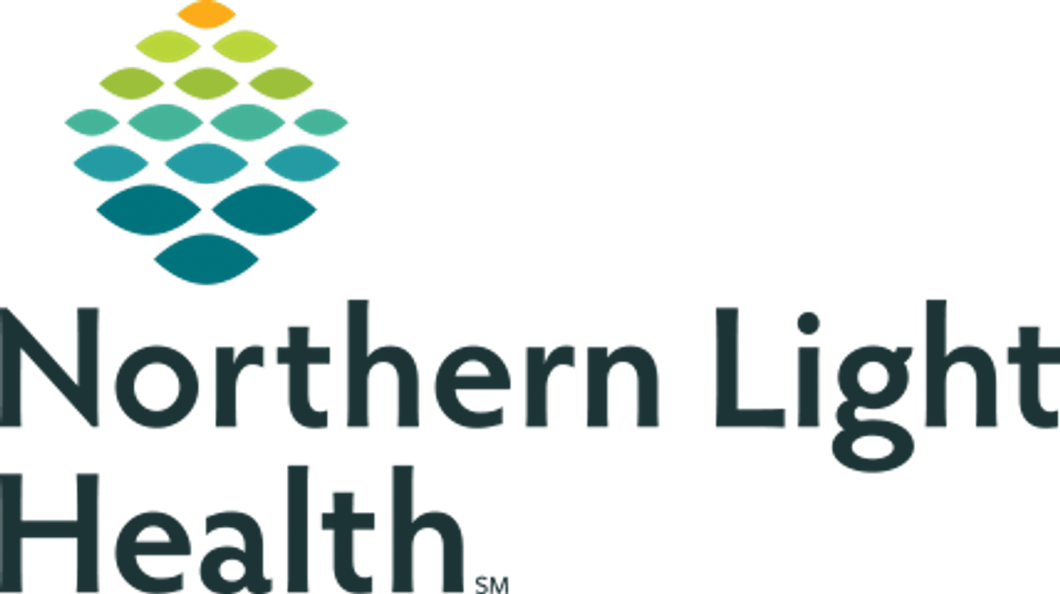 Northern Light Health Logo