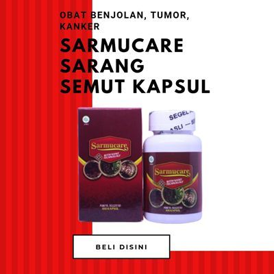 Sarmucare Sarang Semut Kapsul