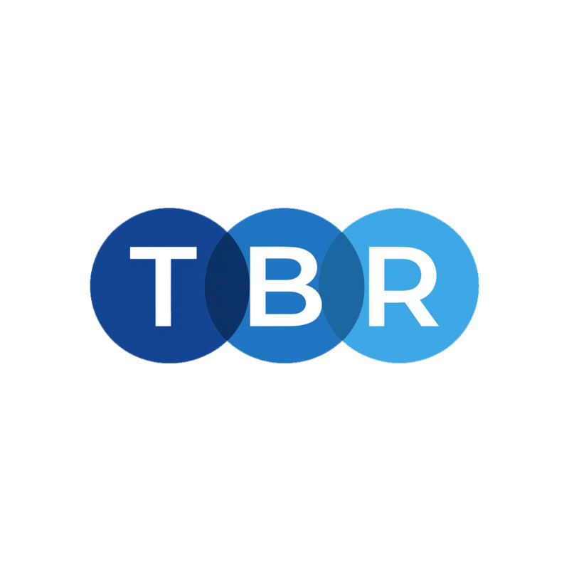 Screenshot of AIOverview By TBR