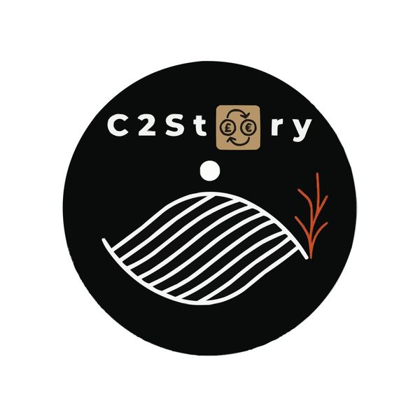 Screenshot of C2story