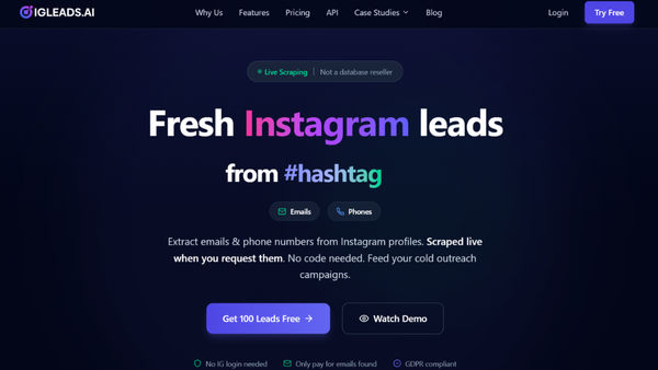 Screenshot of IGLeads.ai