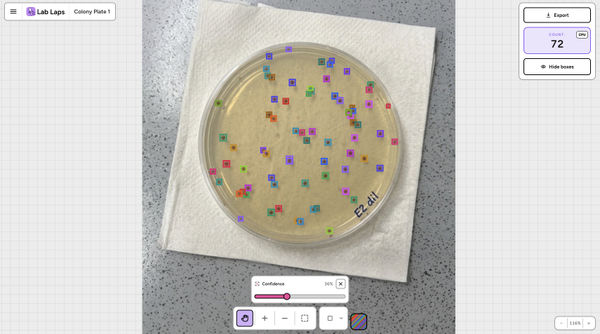 Screenshot of Lab Laps