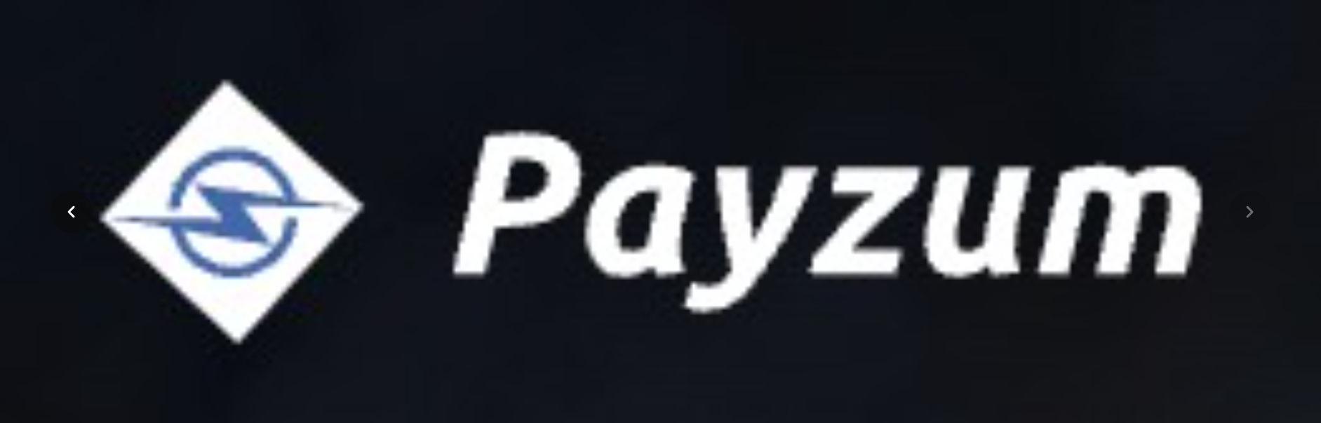 Screenshot of Payzum