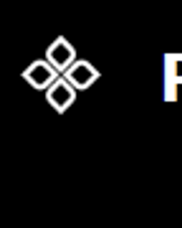 Screenshot of PicX Studio
