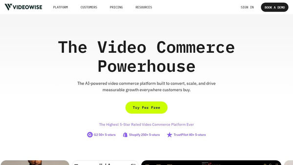 Screenshot of Videowise