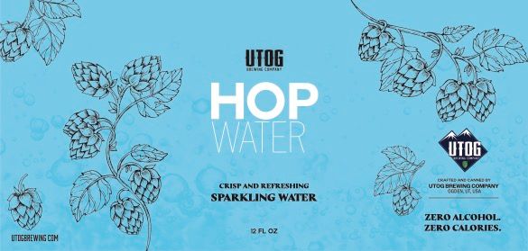 A visualization of the menu item "Mosaic Hop Water"