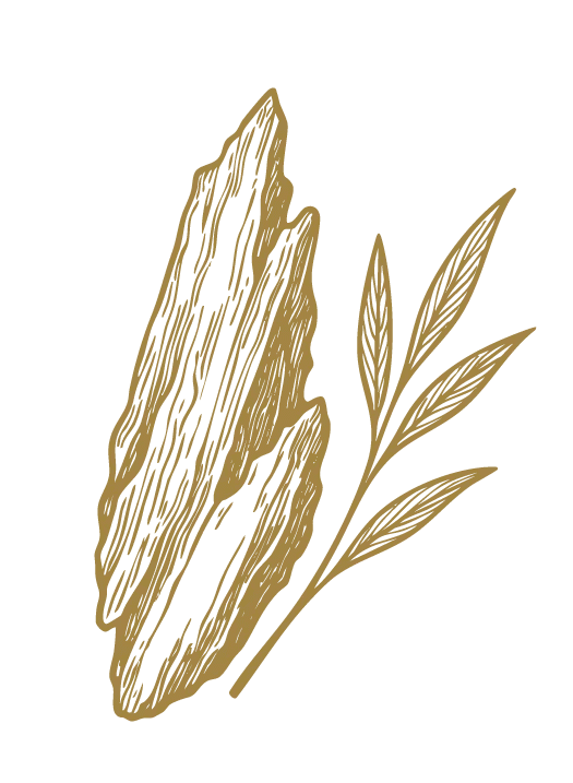 AGARWOOD2.webp