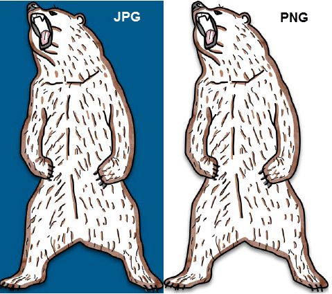 JPEG and PNG Difference