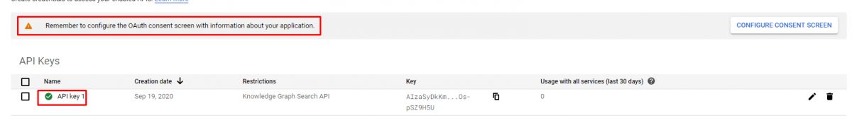 Knowledge Graph API Key Restriction