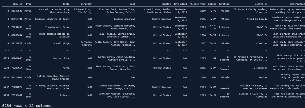 Netflix Movies Data Frame