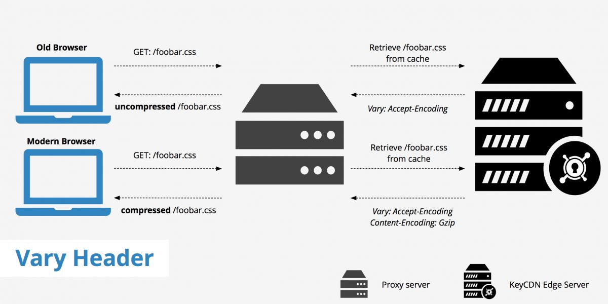 Vary: Accept-Encoding