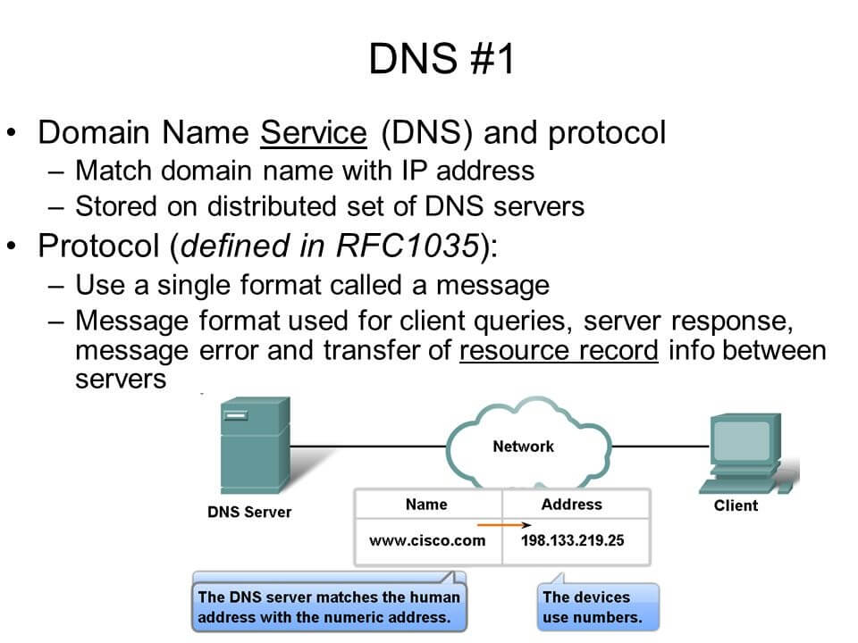 DNS Protocol Example